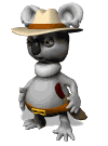 Koala!